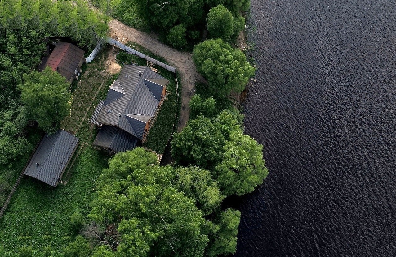 Выбранное изображение