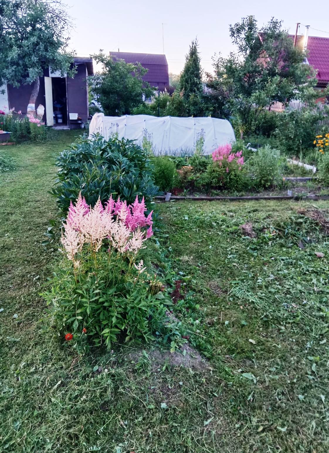 Изображение из списка