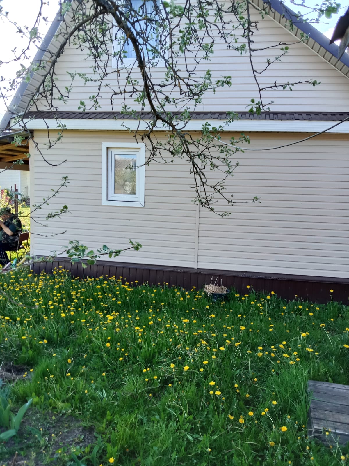 Изображение из списка