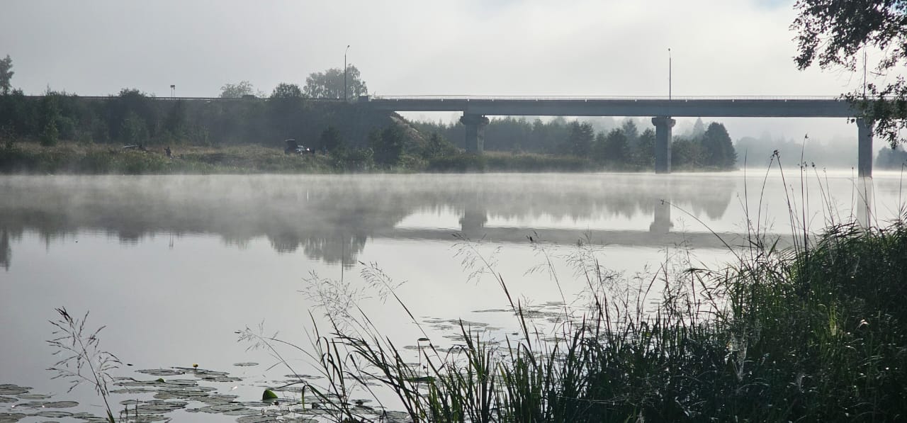 Изображение из списка