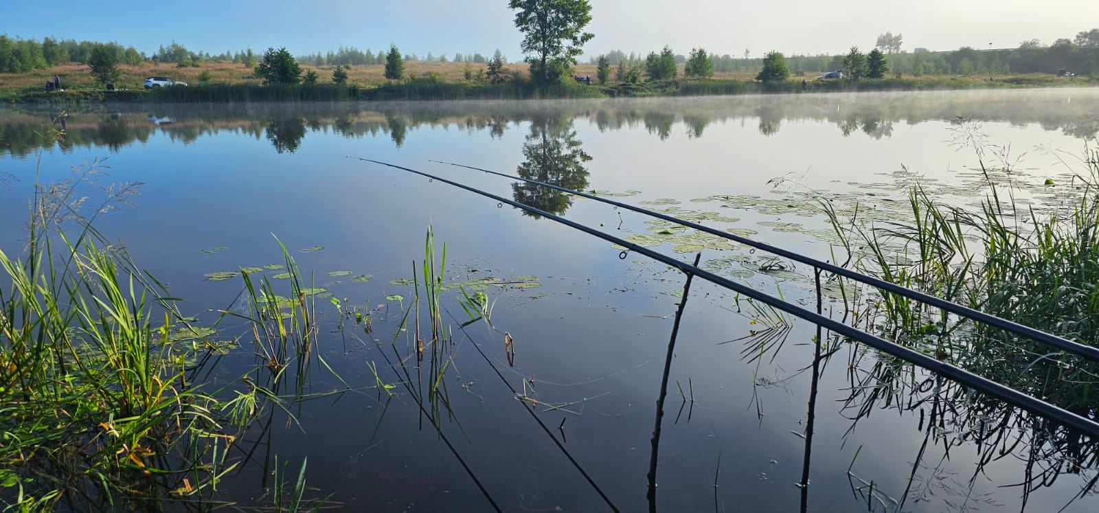 Изображение из списка
