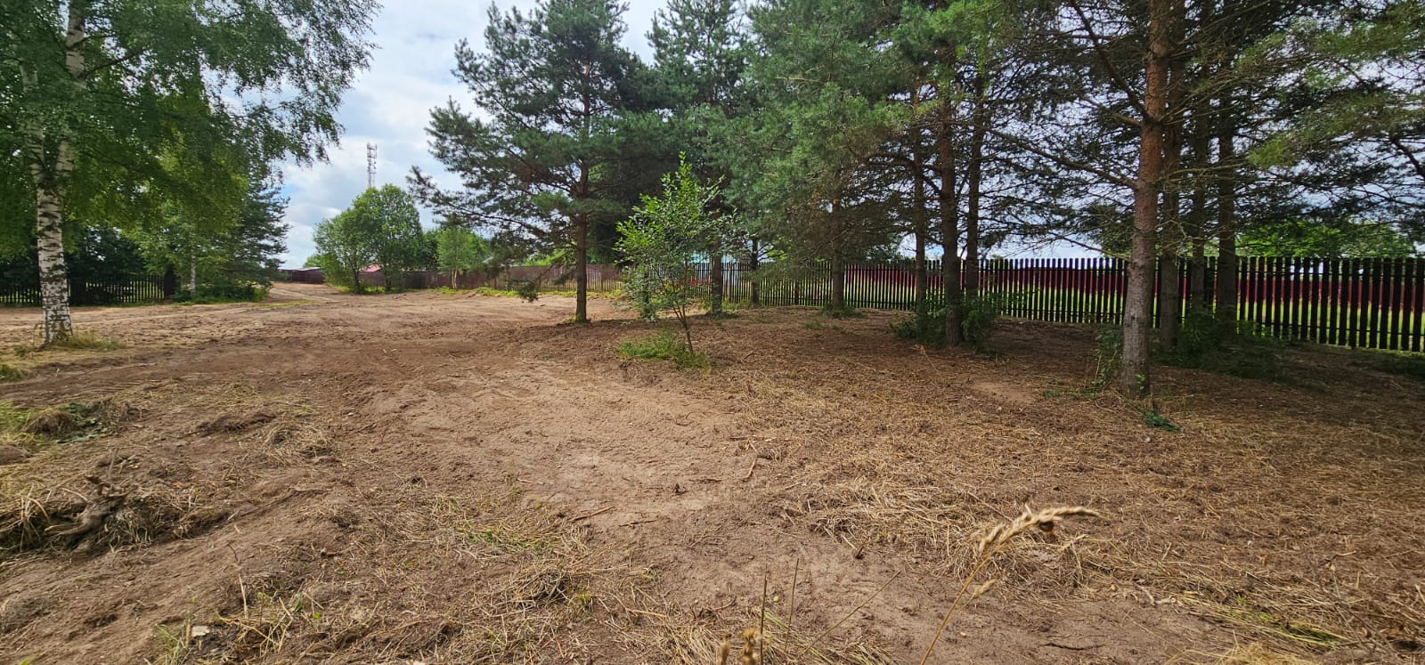 Изображение из списка