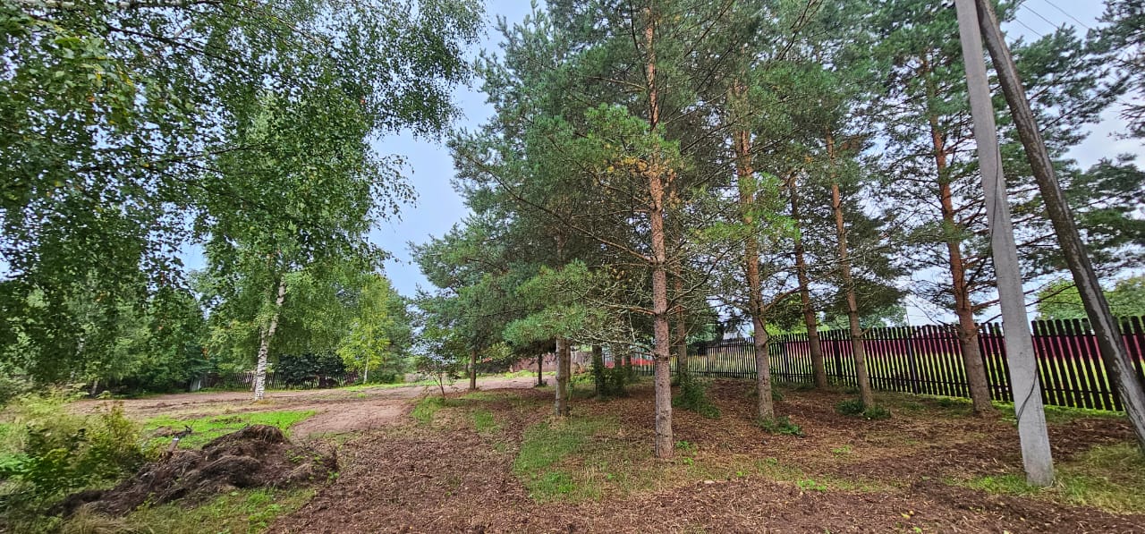 Изображение из списка