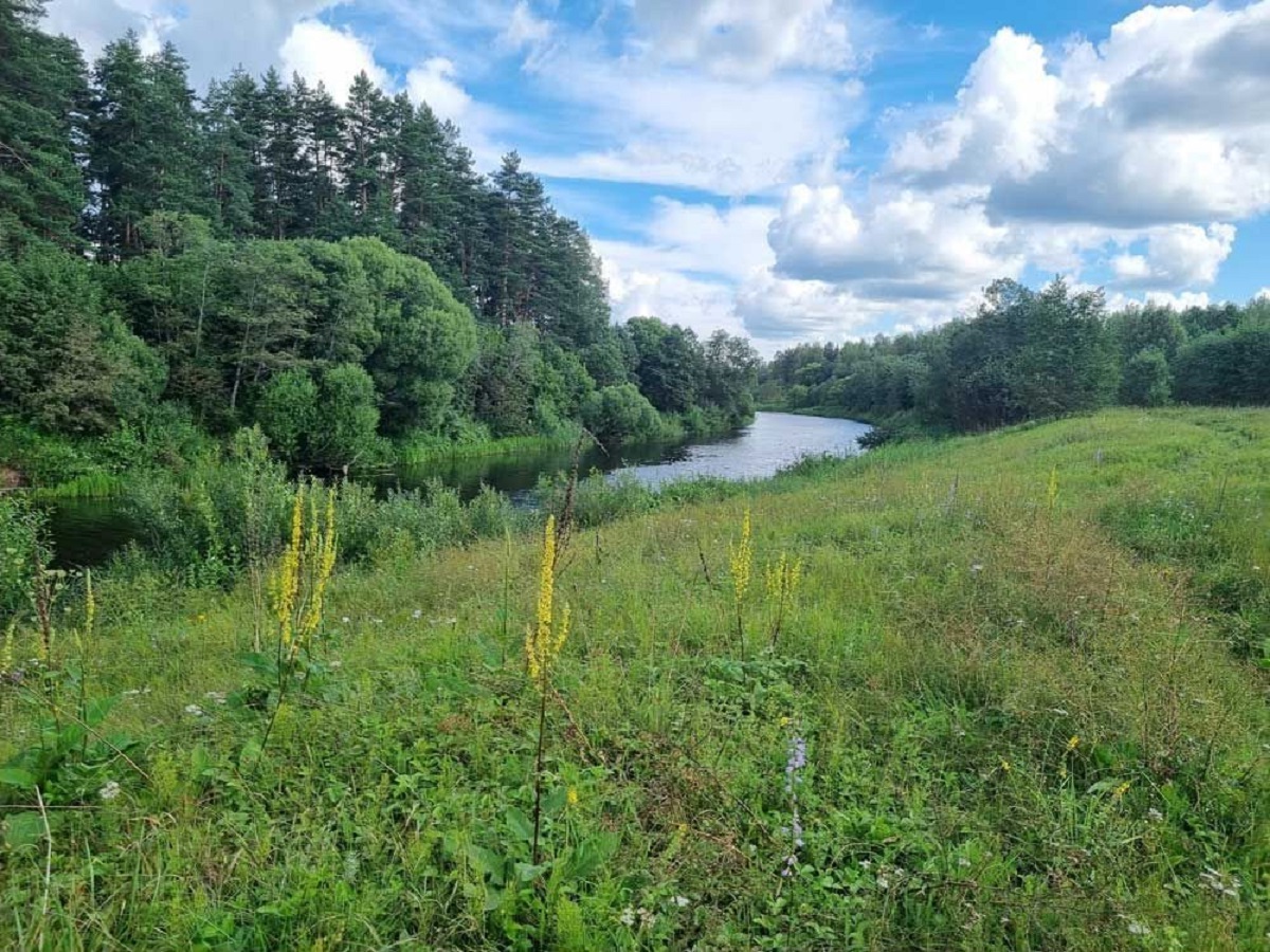 Изображение из списка