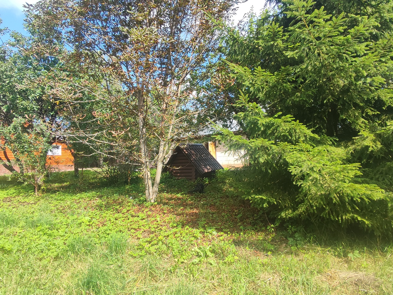 Изображение из списка