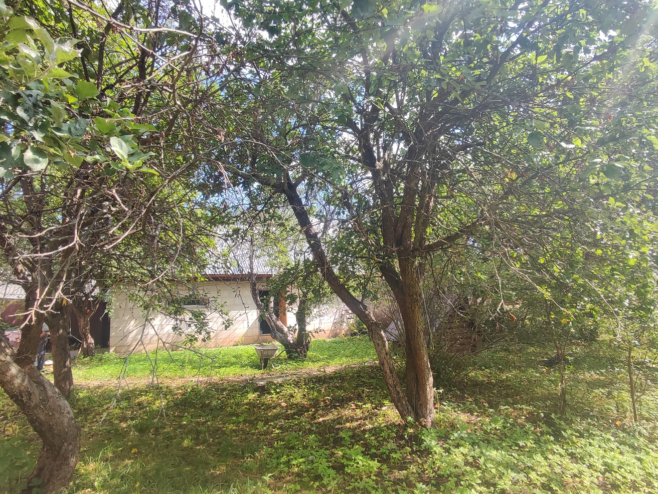 Изображение из списка