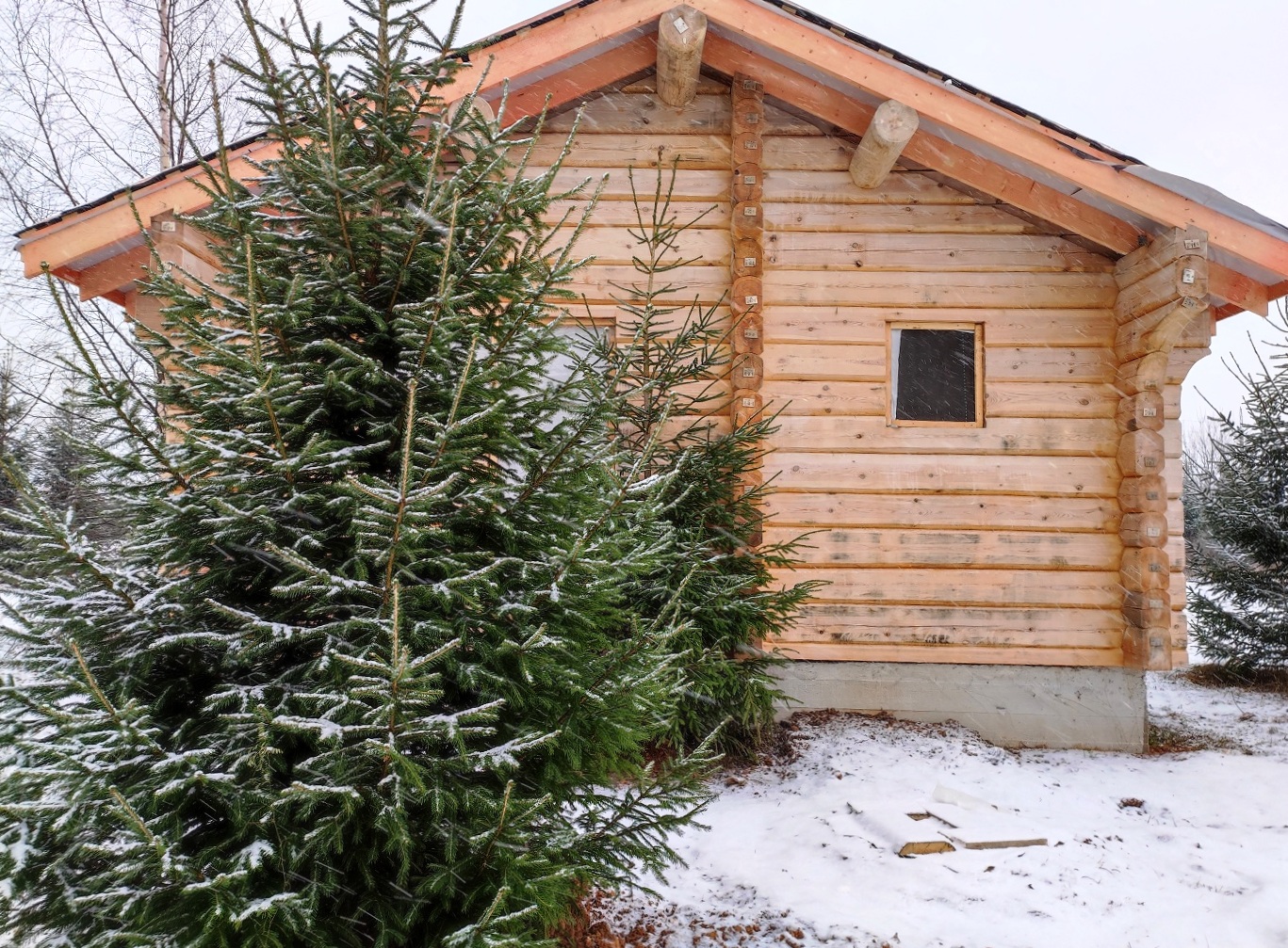 Изображение из списка