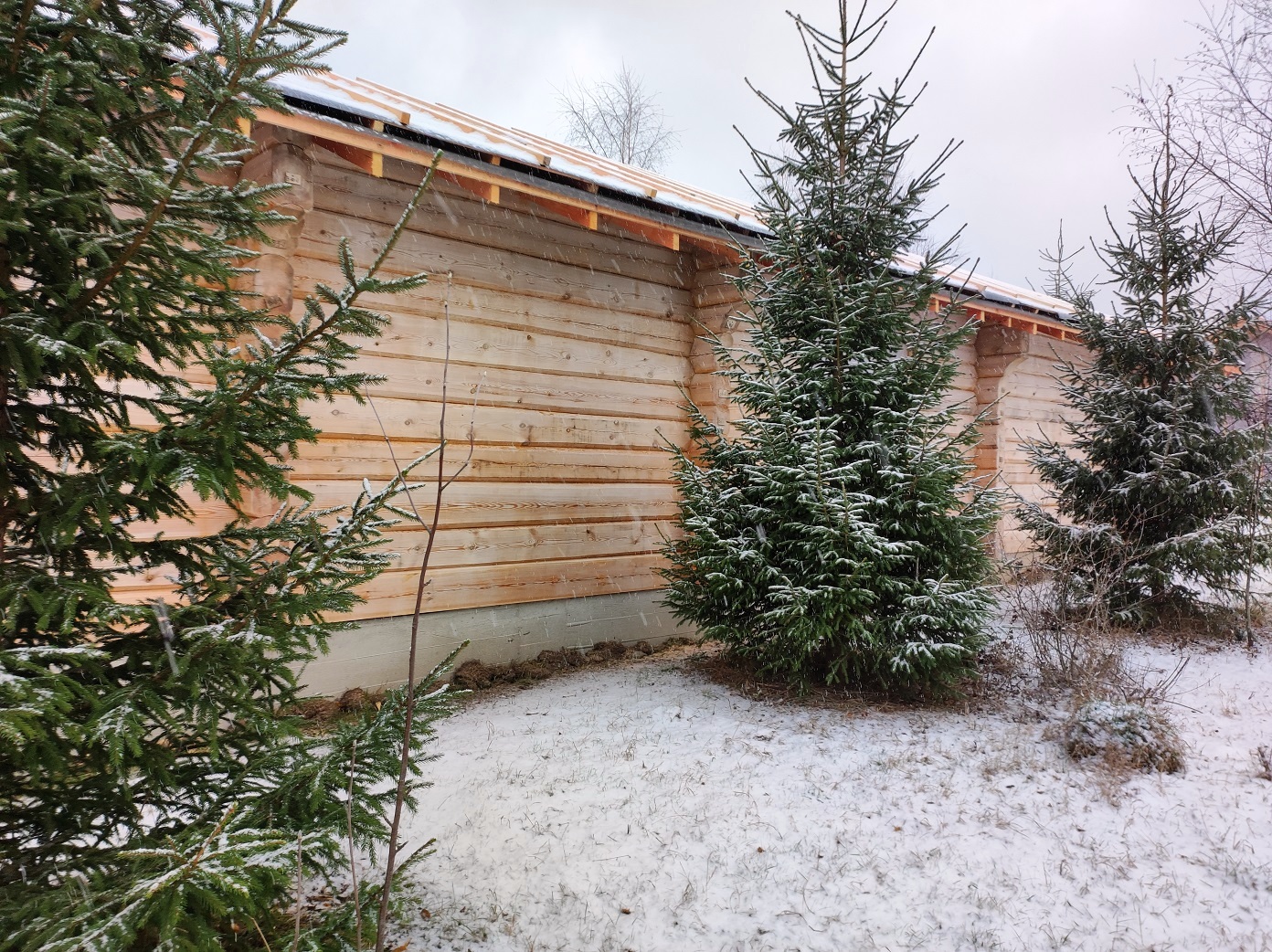 Изображение из списка