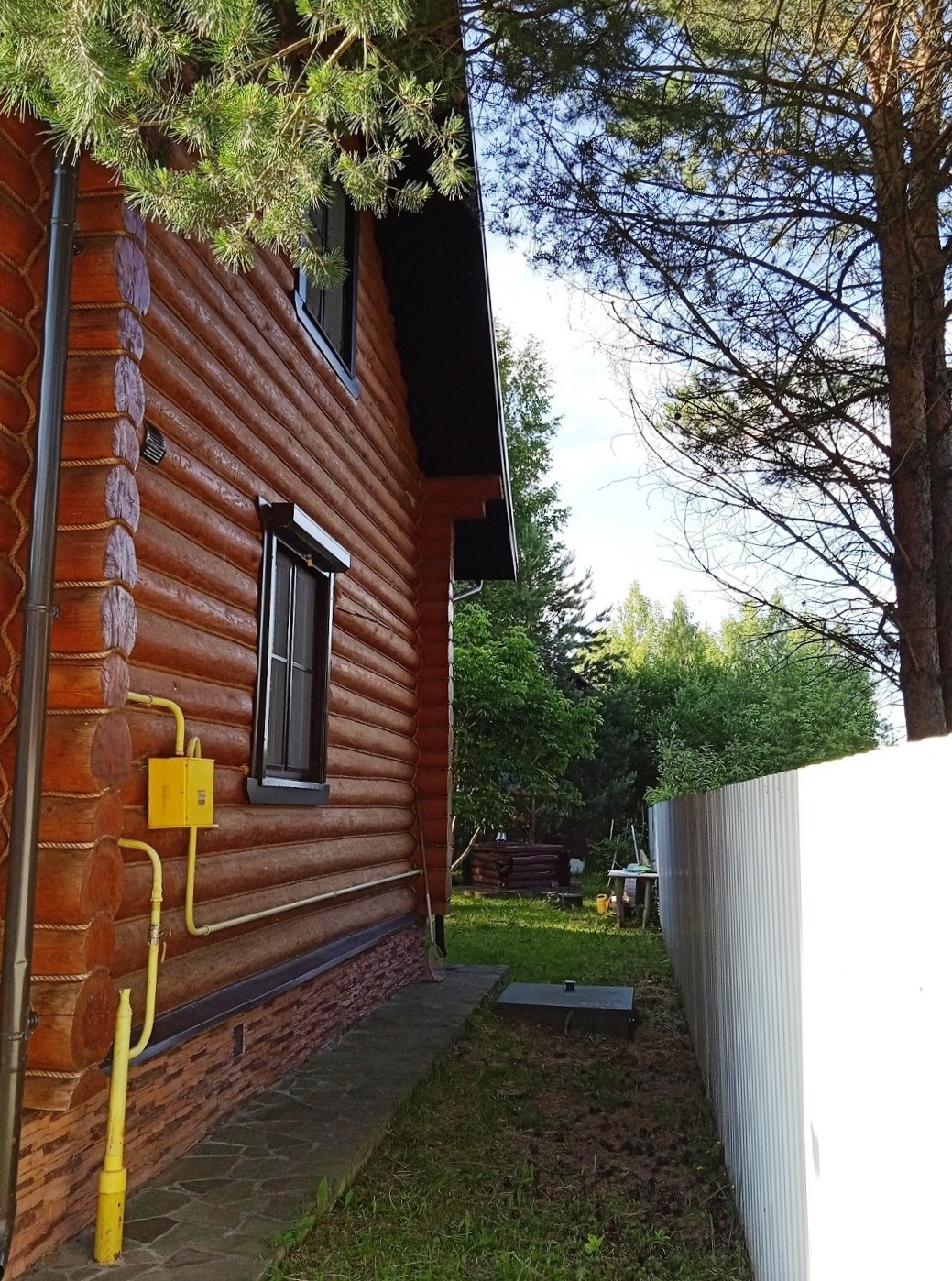 Выбранное изображение