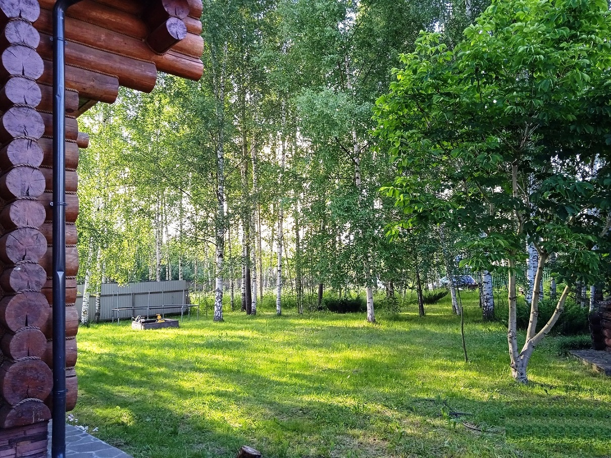 Изображение из списка