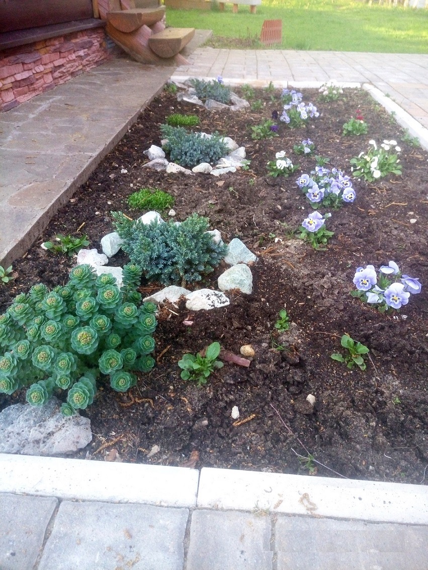 Изображение из списка