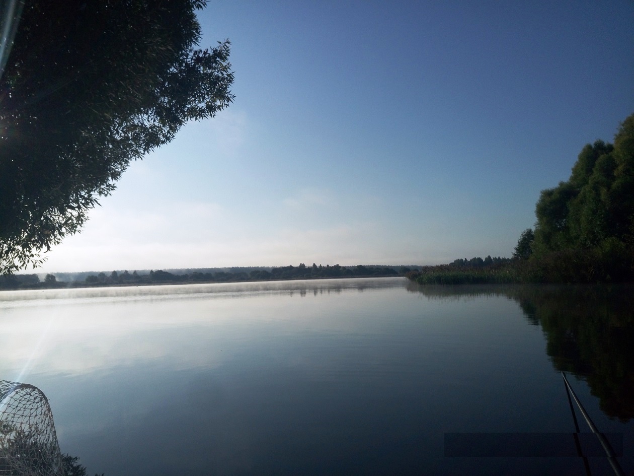 Изображение из списка