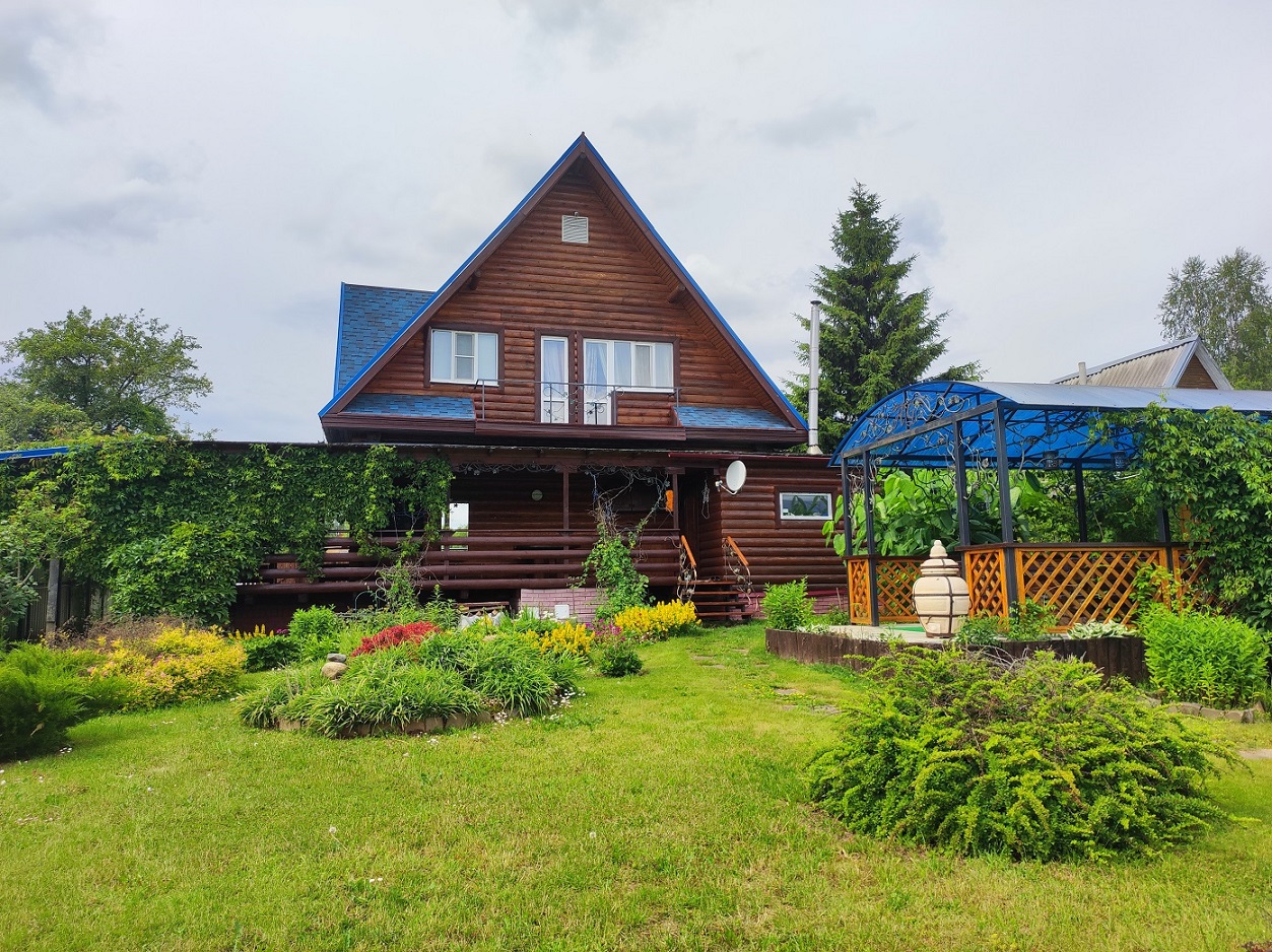 Выбранное изображение