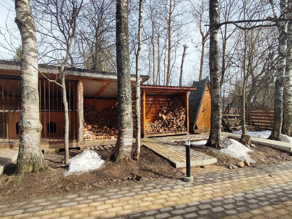 Изображение из списка