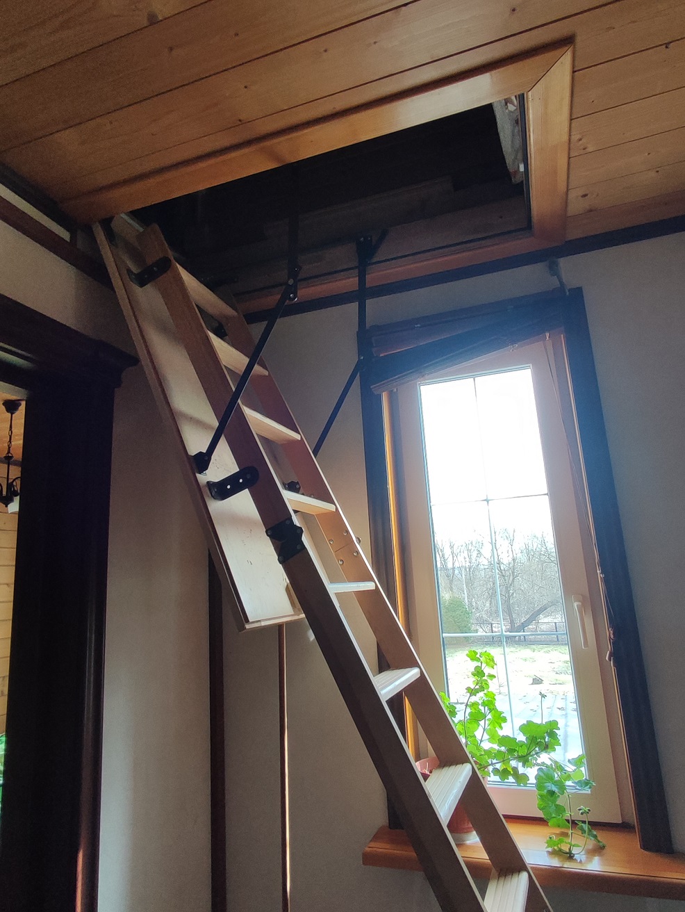 Изображение из списка