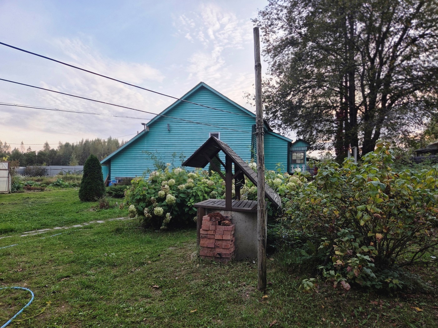 Изображение из списка