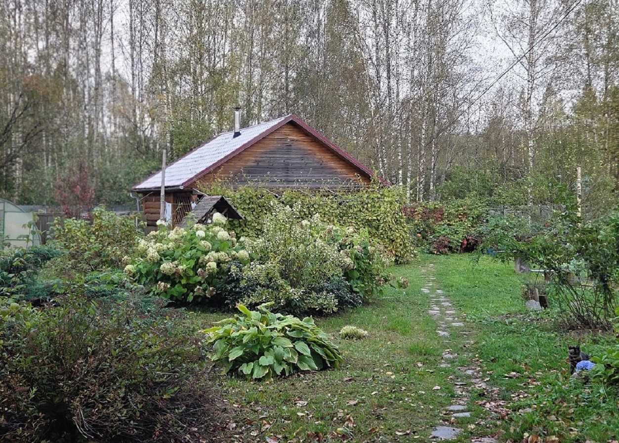 Изображение из списка