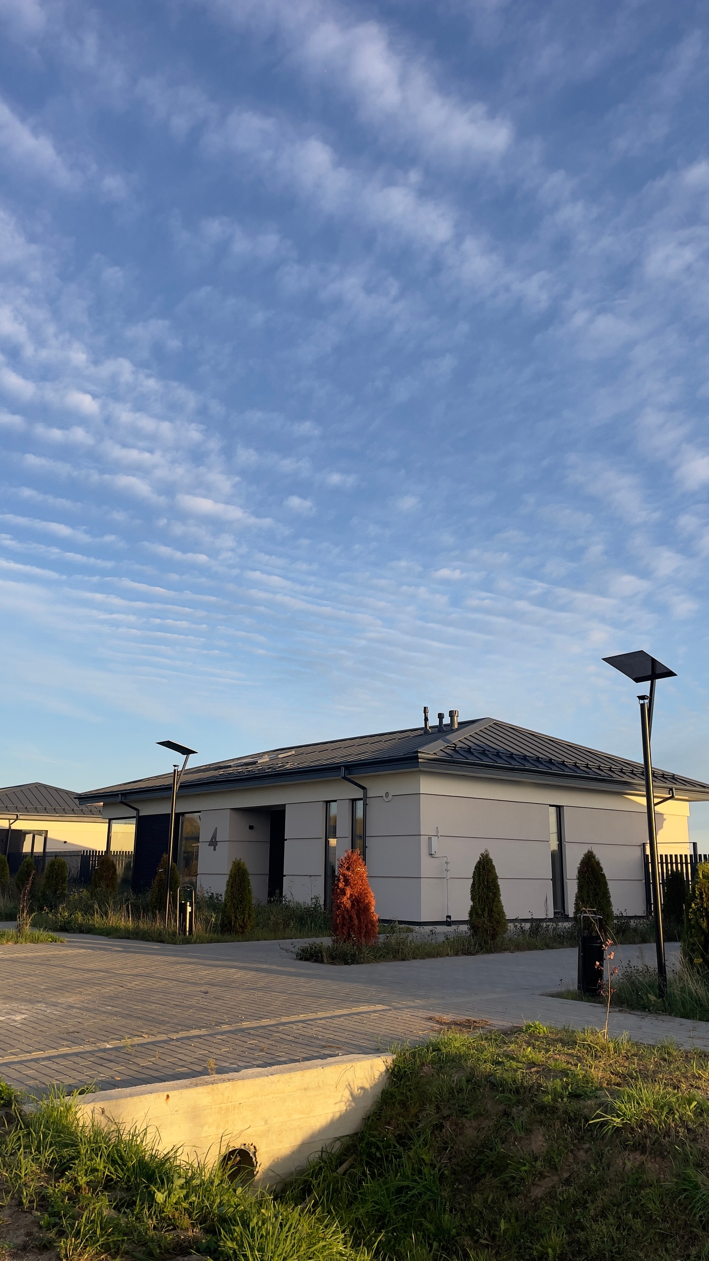 Изображение из списка