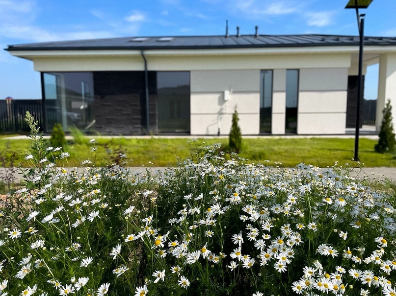 Изображение из списка