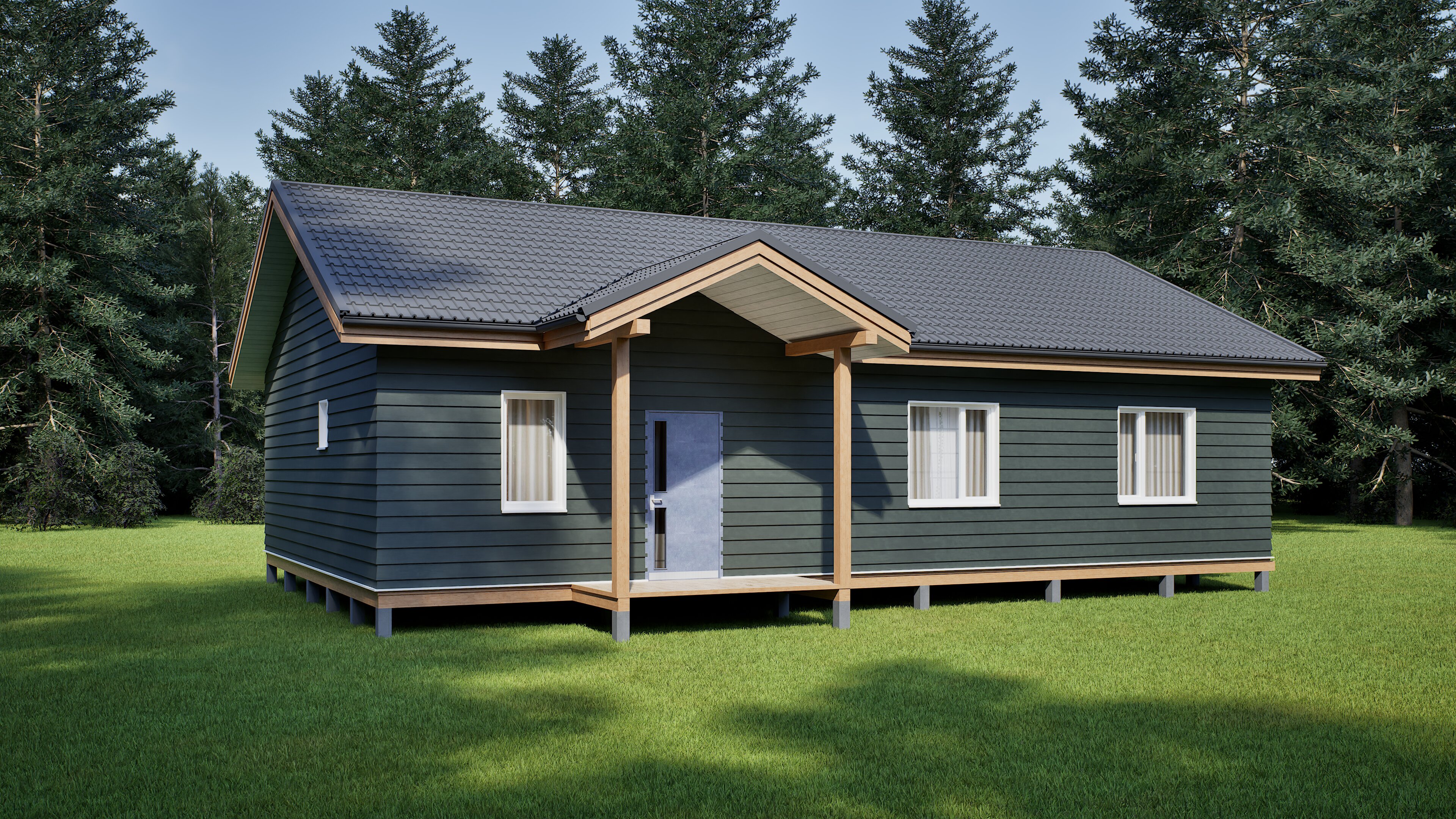 Проект ДФ 120, изображение-2