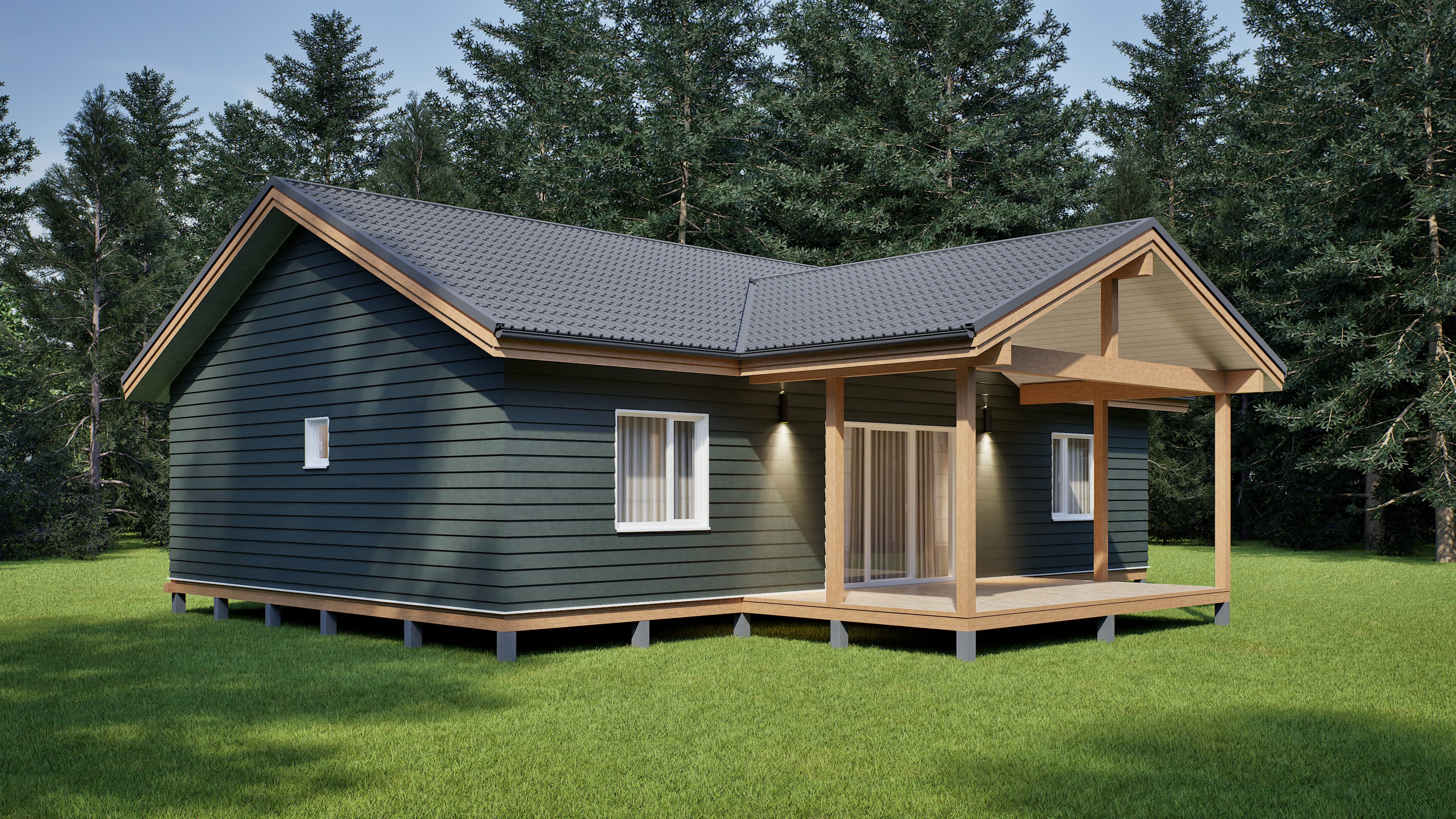 Проект ДФ 120, изображение-3