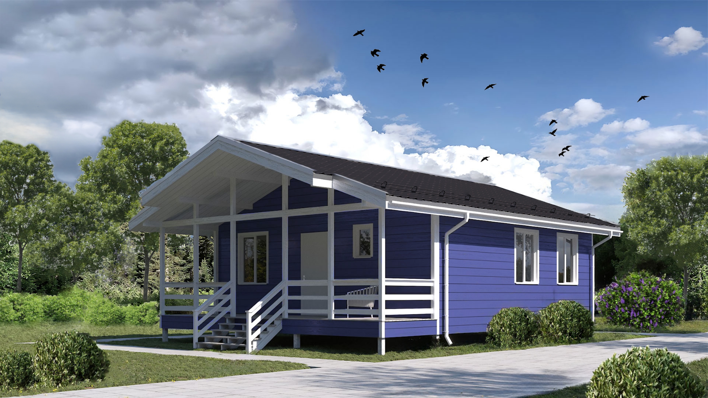 Проект Эхинацея