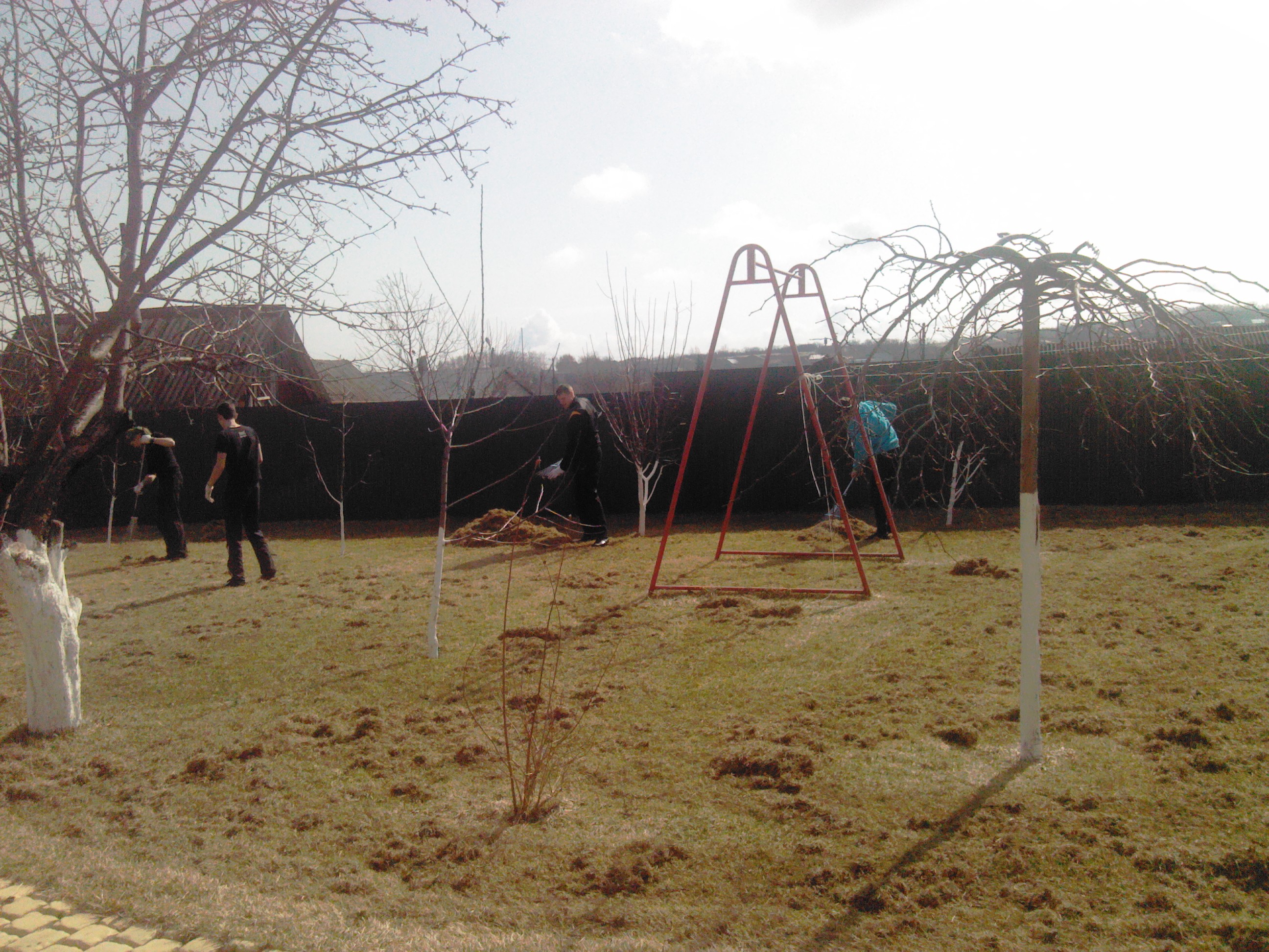 Услуги по уходу за декоративным садом