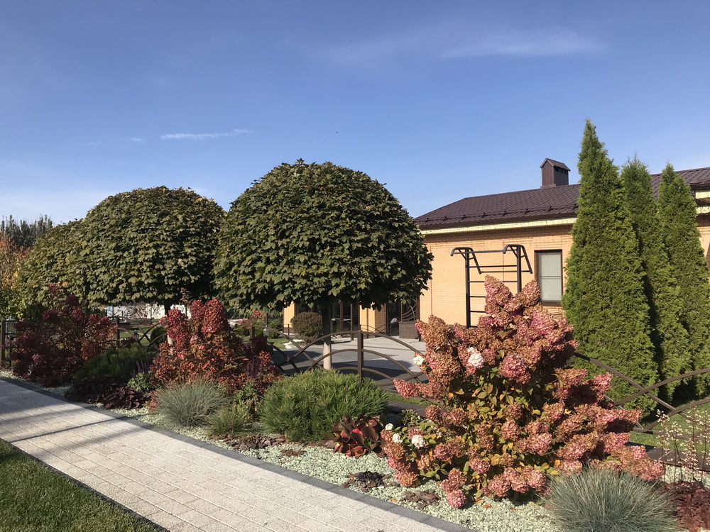 Ландшафтный дизайн