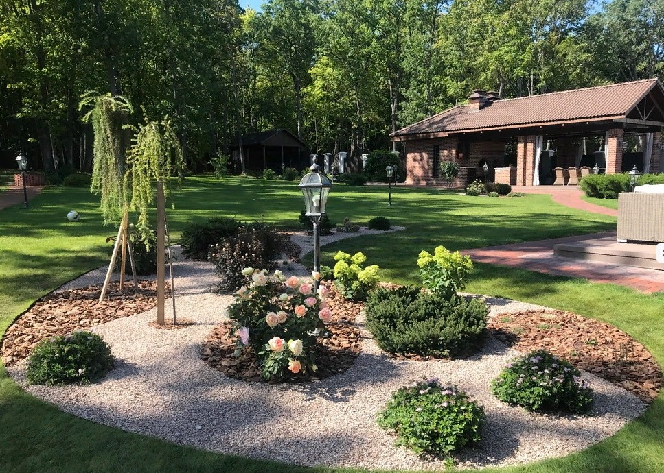 Торговля цветами и растениями