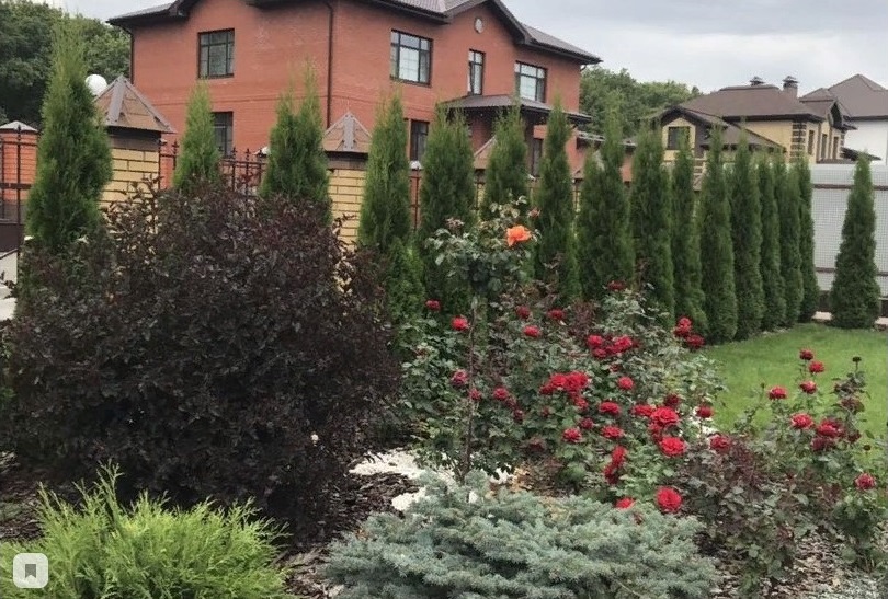 Услуги озеленения территории