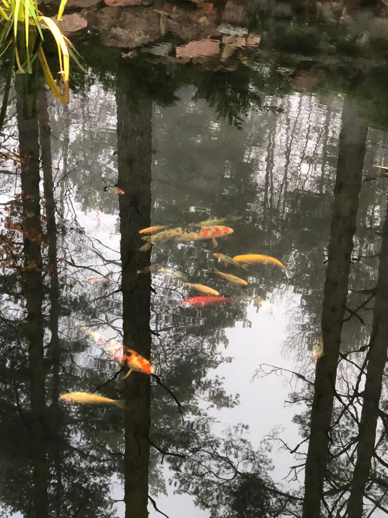 Ланшафтный дизайн 