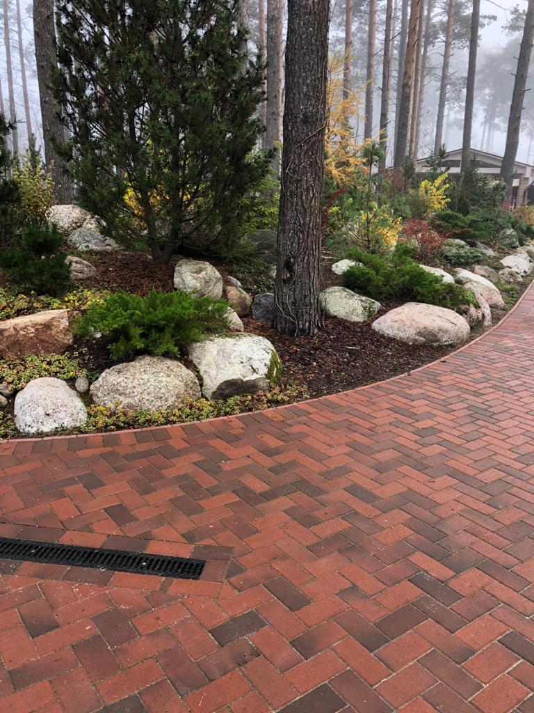 Ланшафтный дизайн 