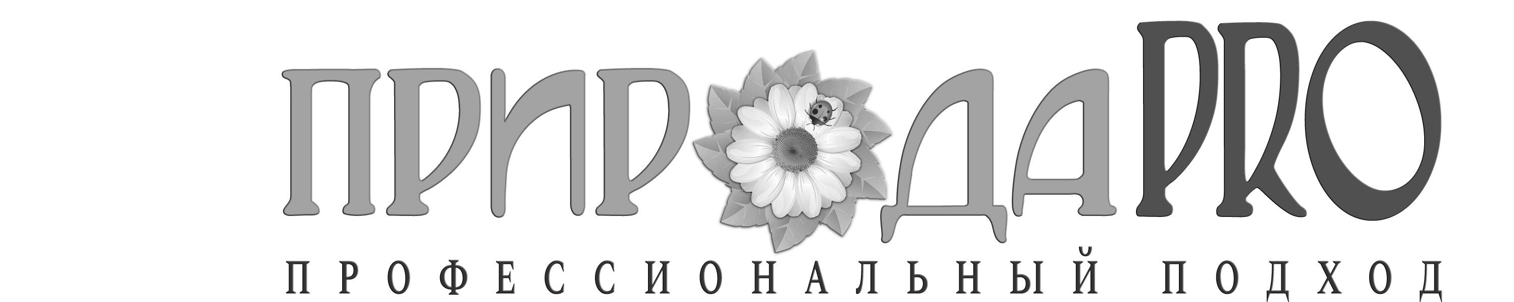 Саженцы. Растения. Плодовые и декоративные, деревья и кустарники