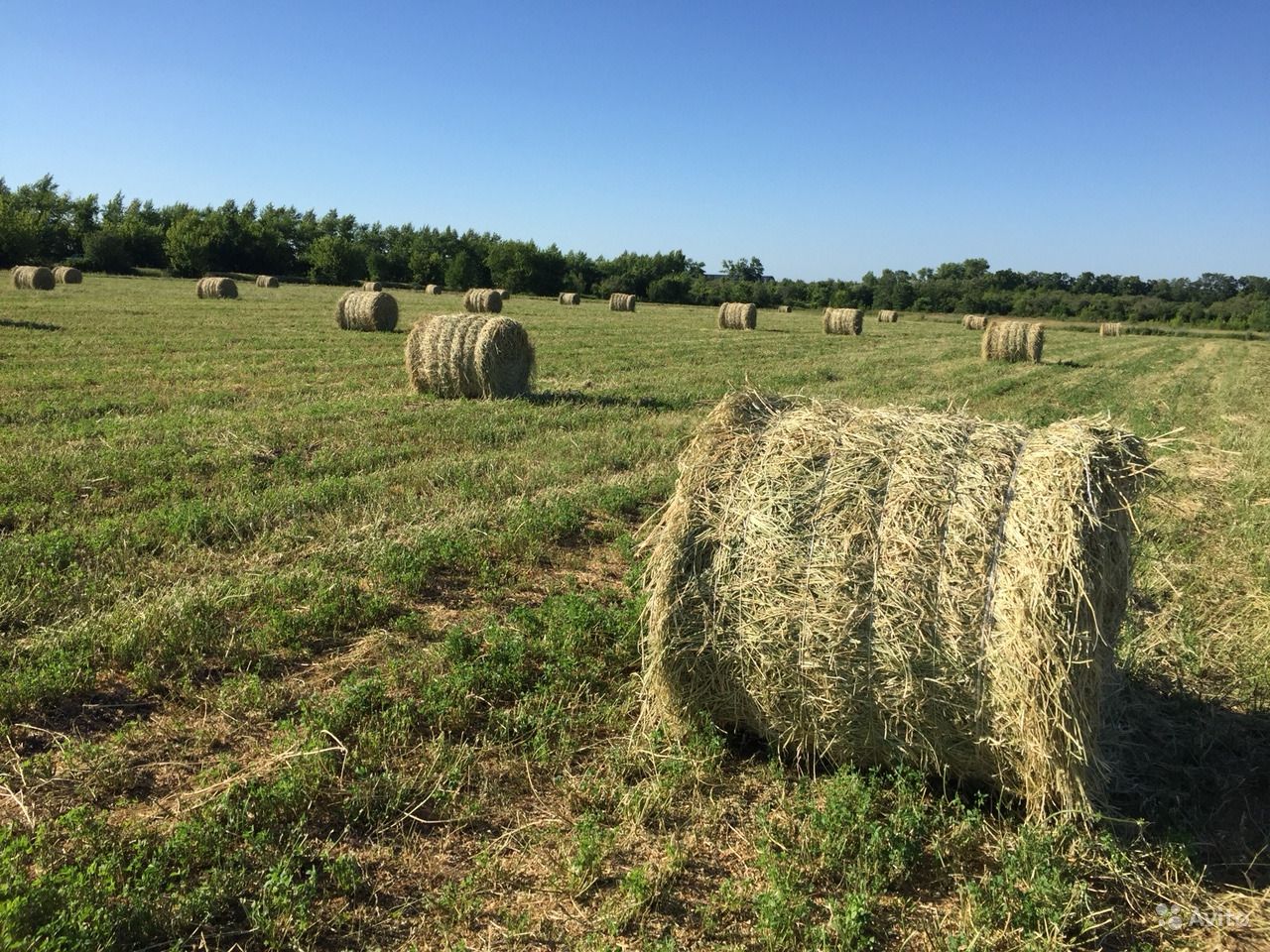 Продажа корма для животных