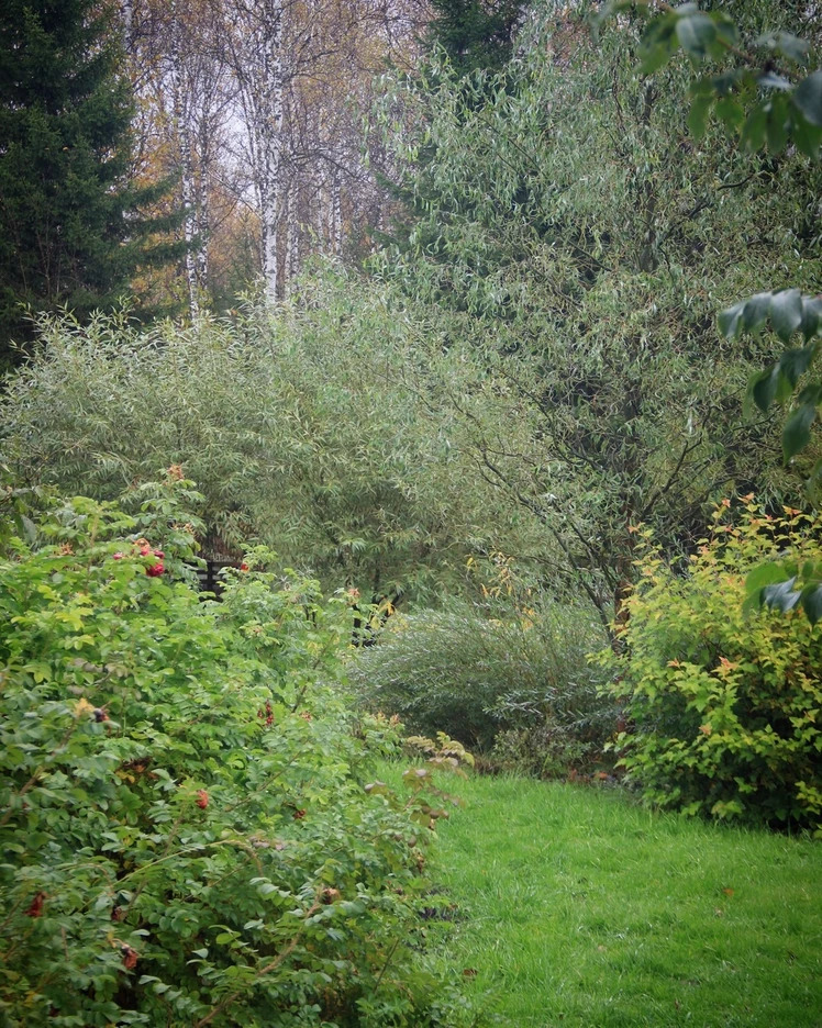 Ландшафтное проектирование