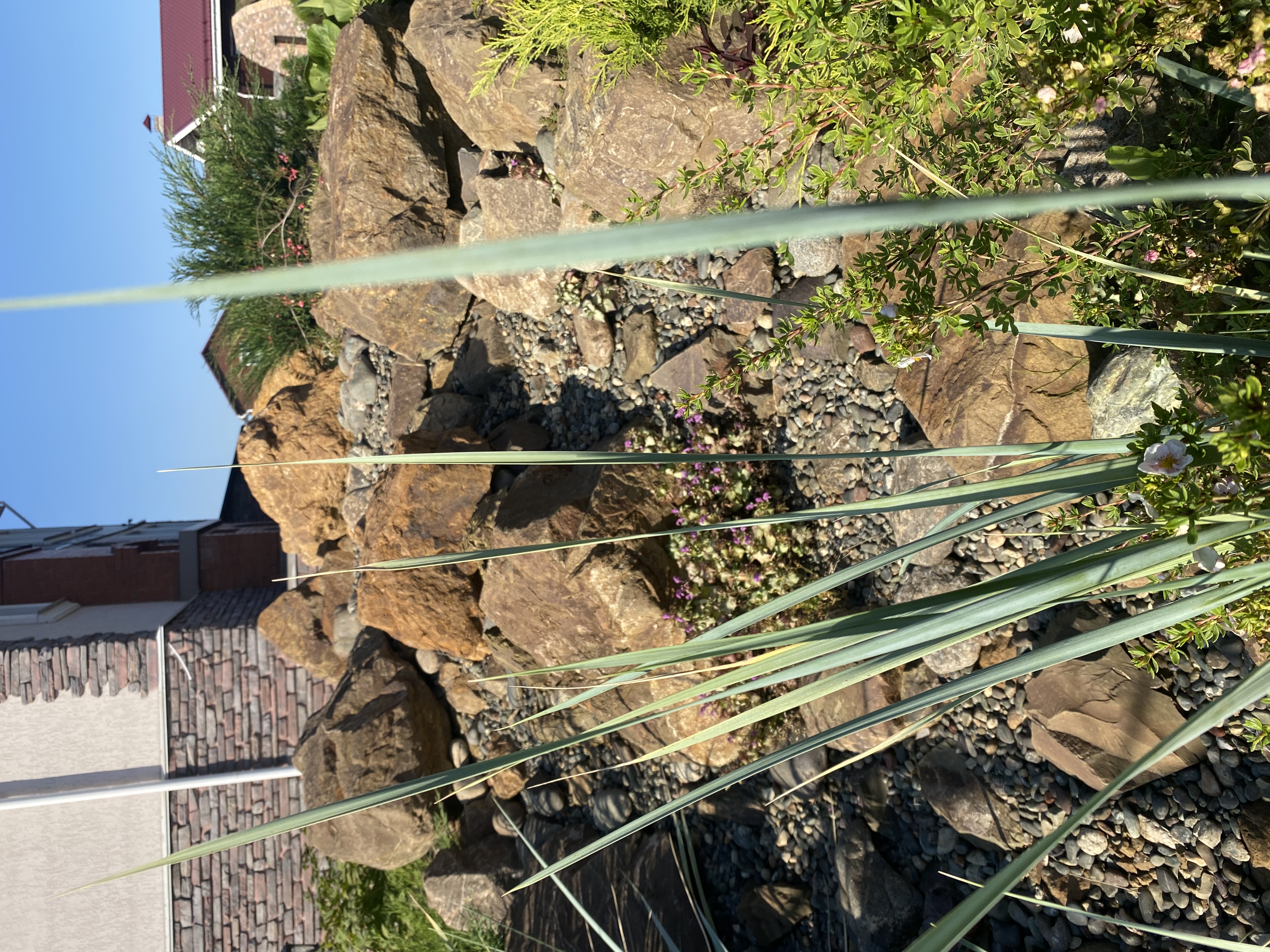 Ландшафтный дизайн 