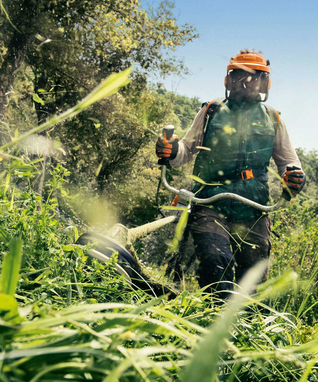 Уход за деревьями и растениями