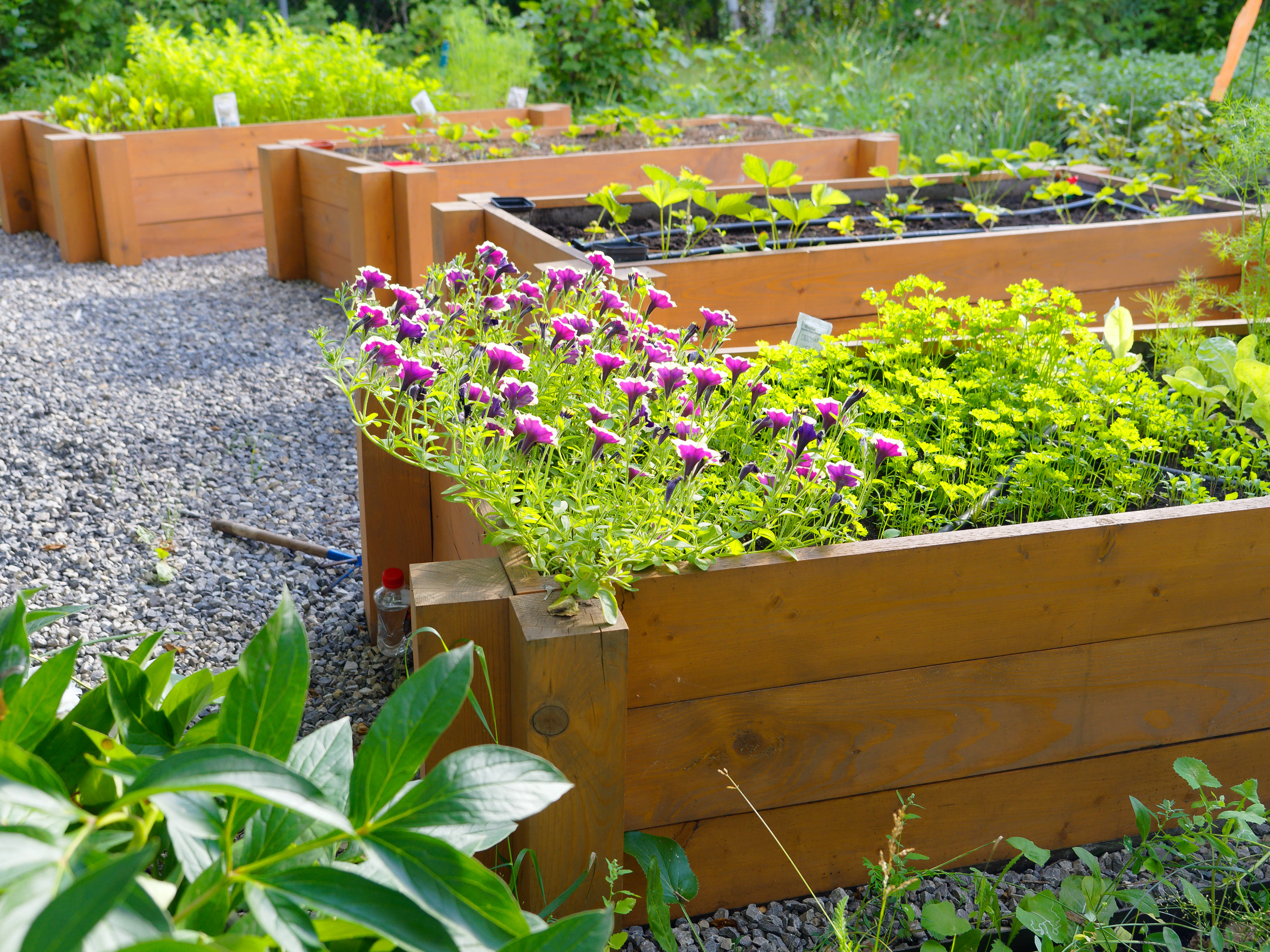 Устройство грядок