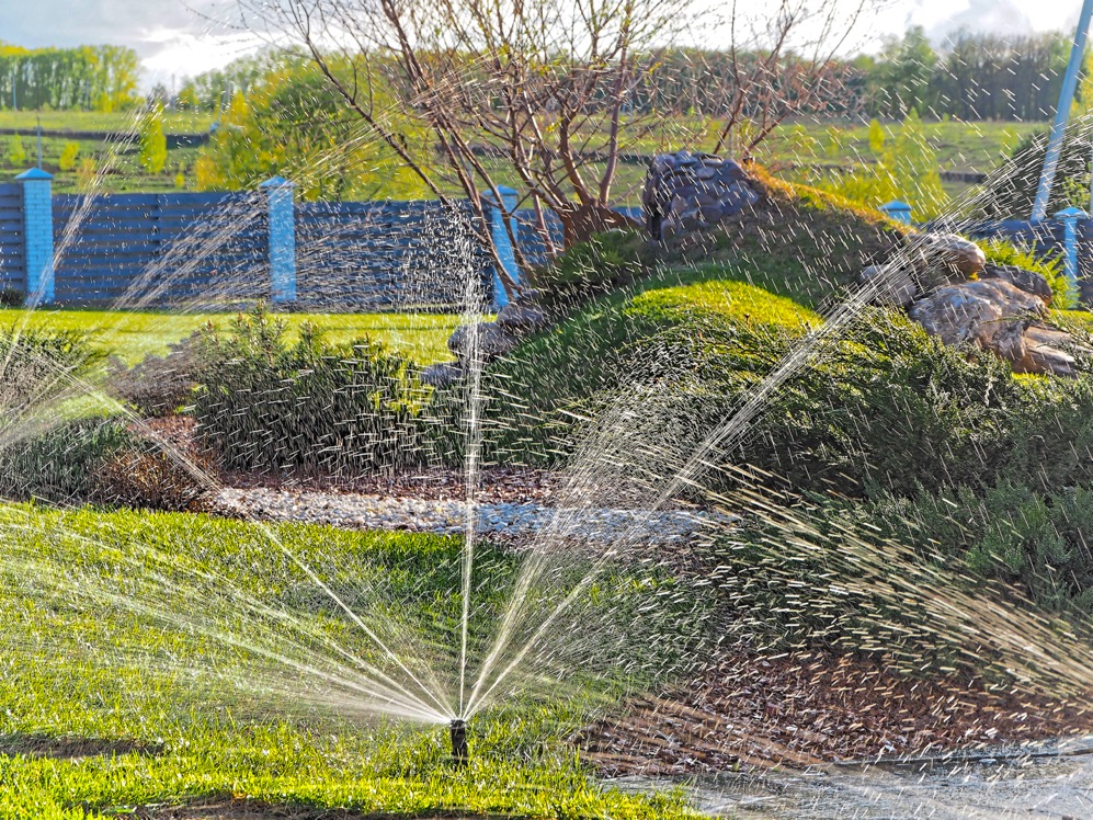 Ландшафтный дизайн