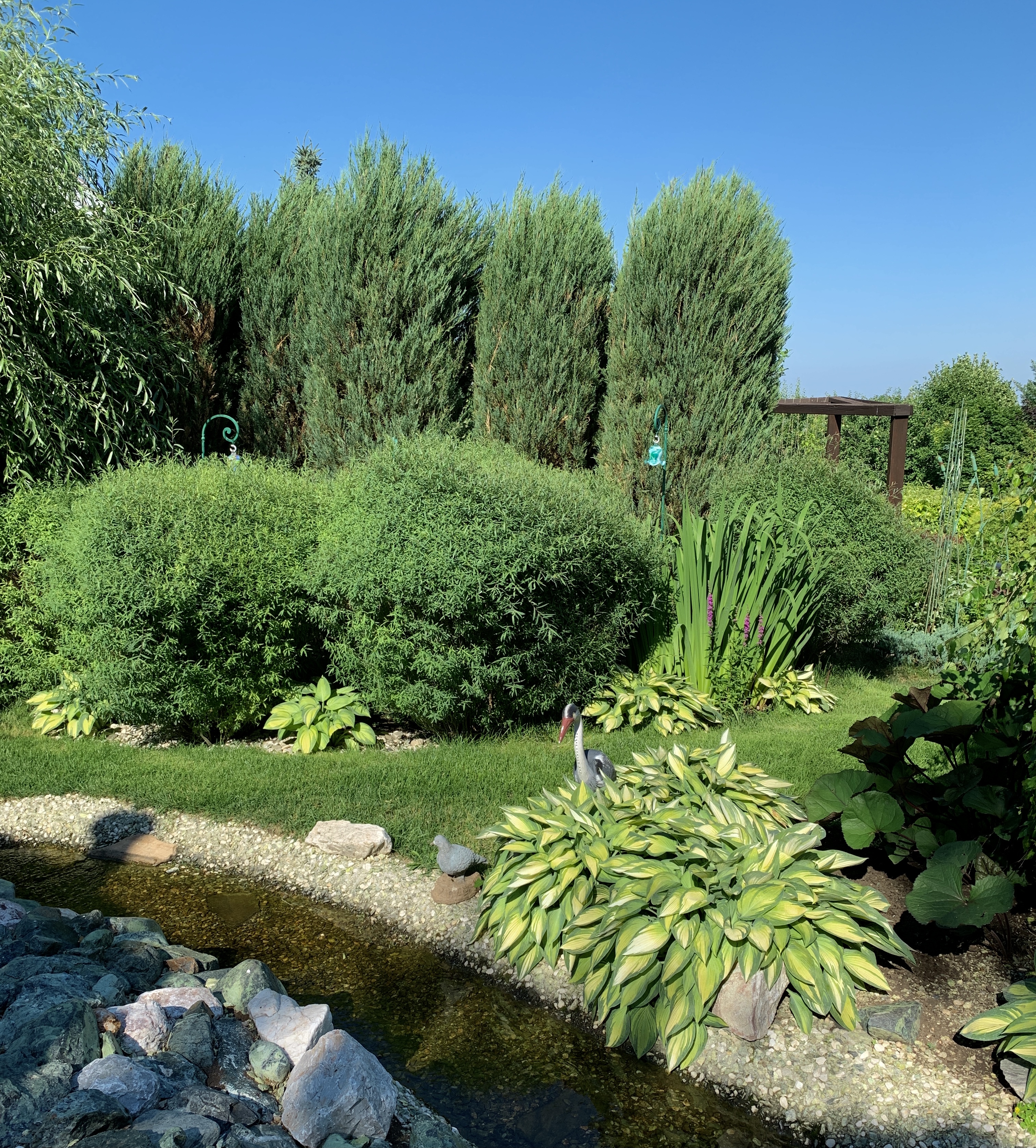 Консультация специалиста по ландшафтному дизайну (офлайн / онлайн)