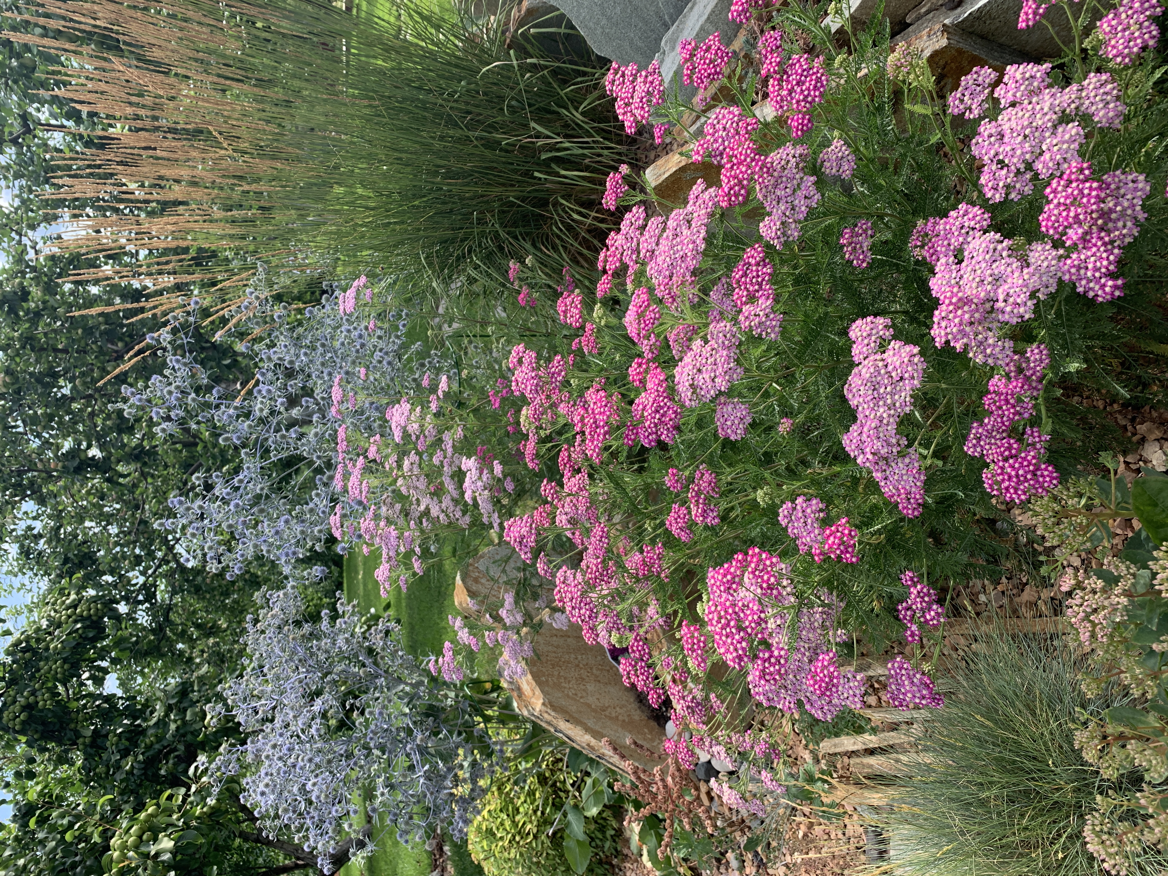 Консультация специалиста по ландшафтному дизайну (офлайн / онлайн)