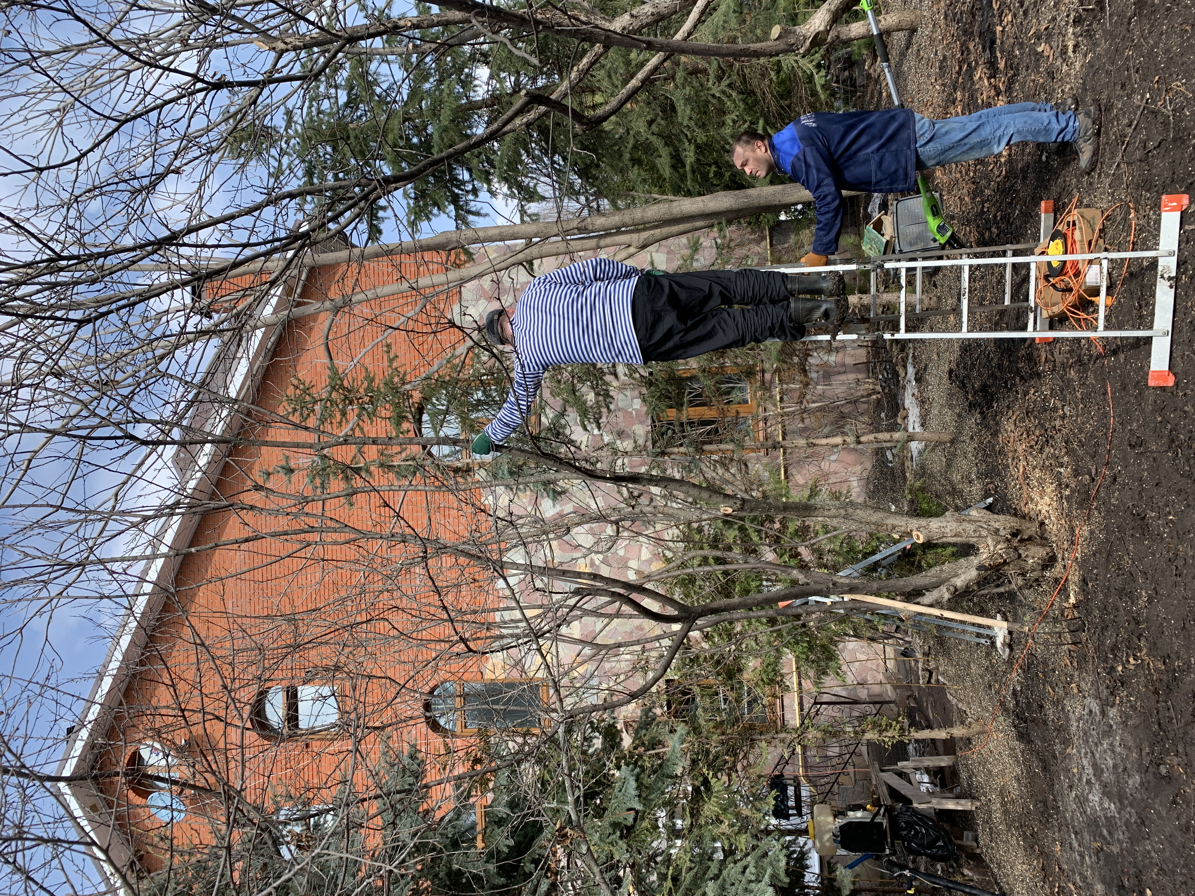 Обработка растений для стимуляции роста