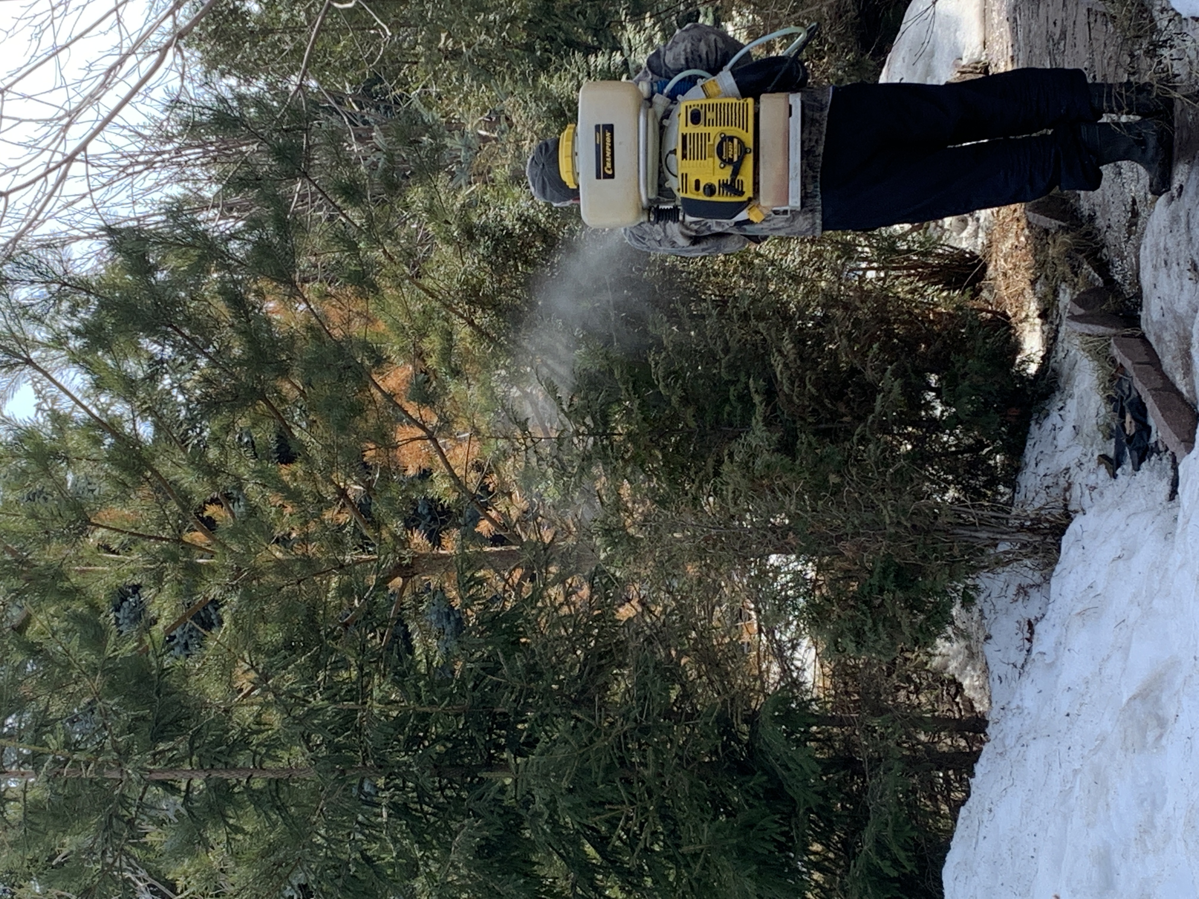 Обработка растений для стимуляции роста