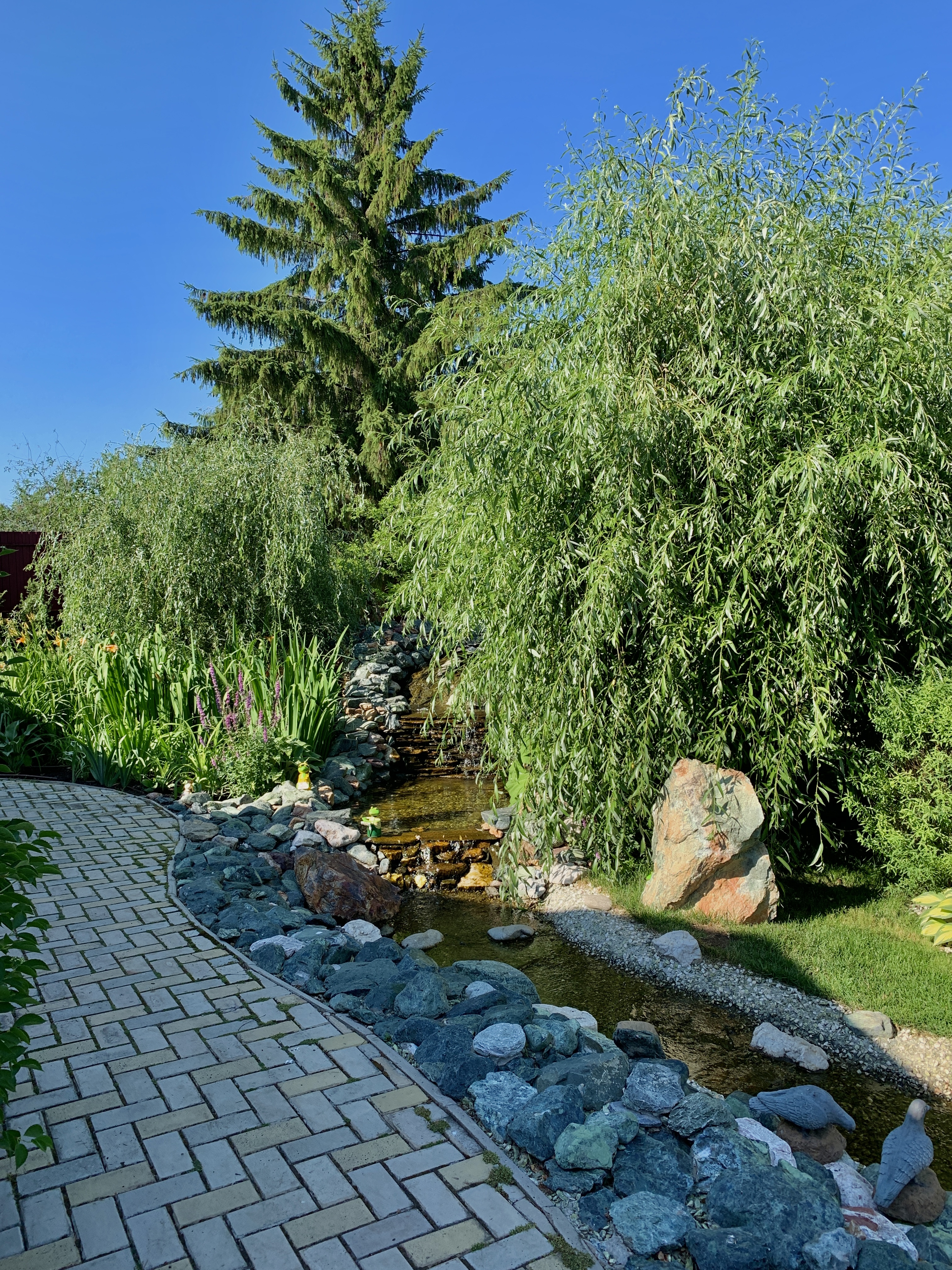 Подбор растений и посадочные работы