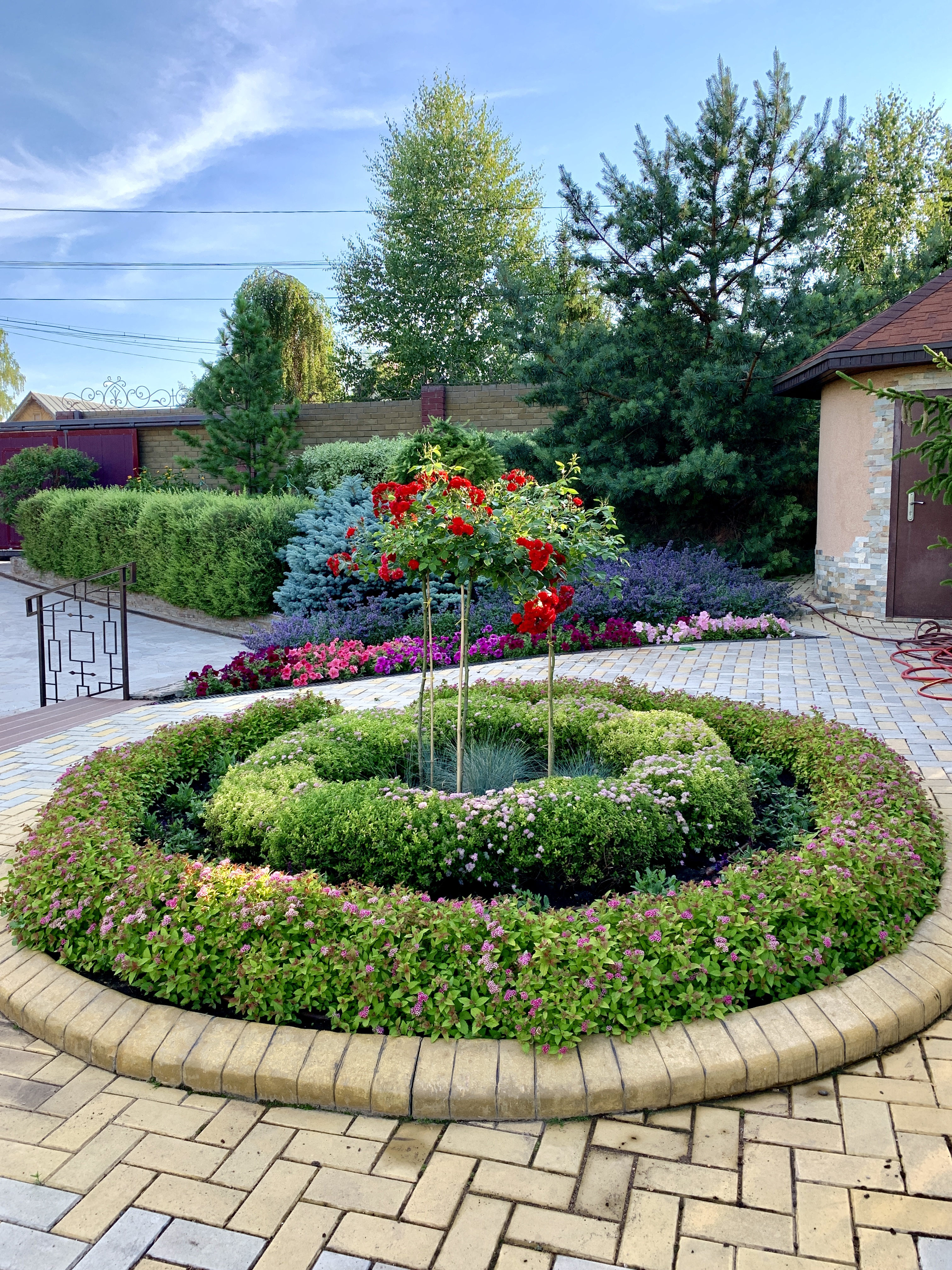 Подбор растений и посадочные работы