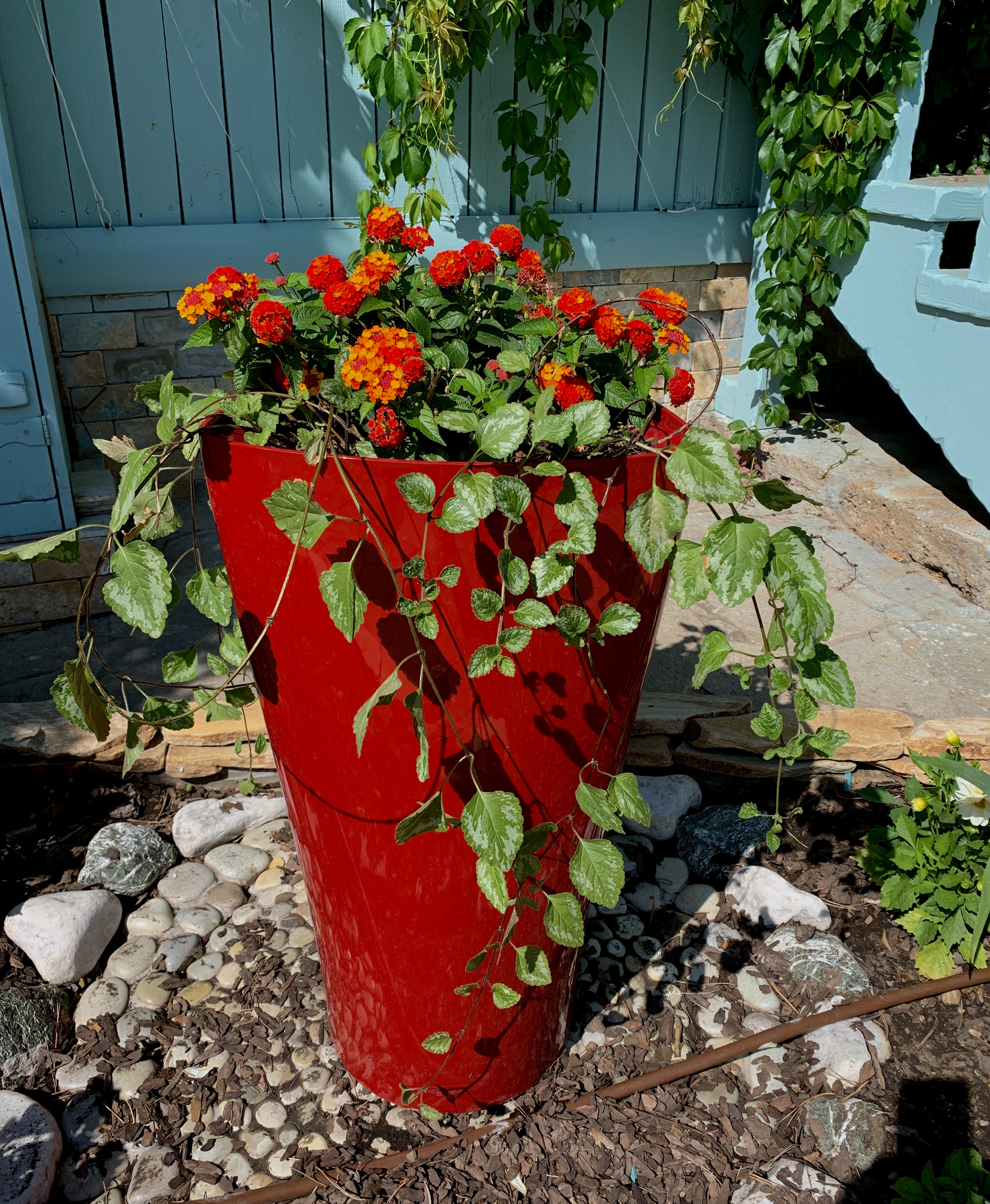 Реализация проекта ландшафтного дизайна