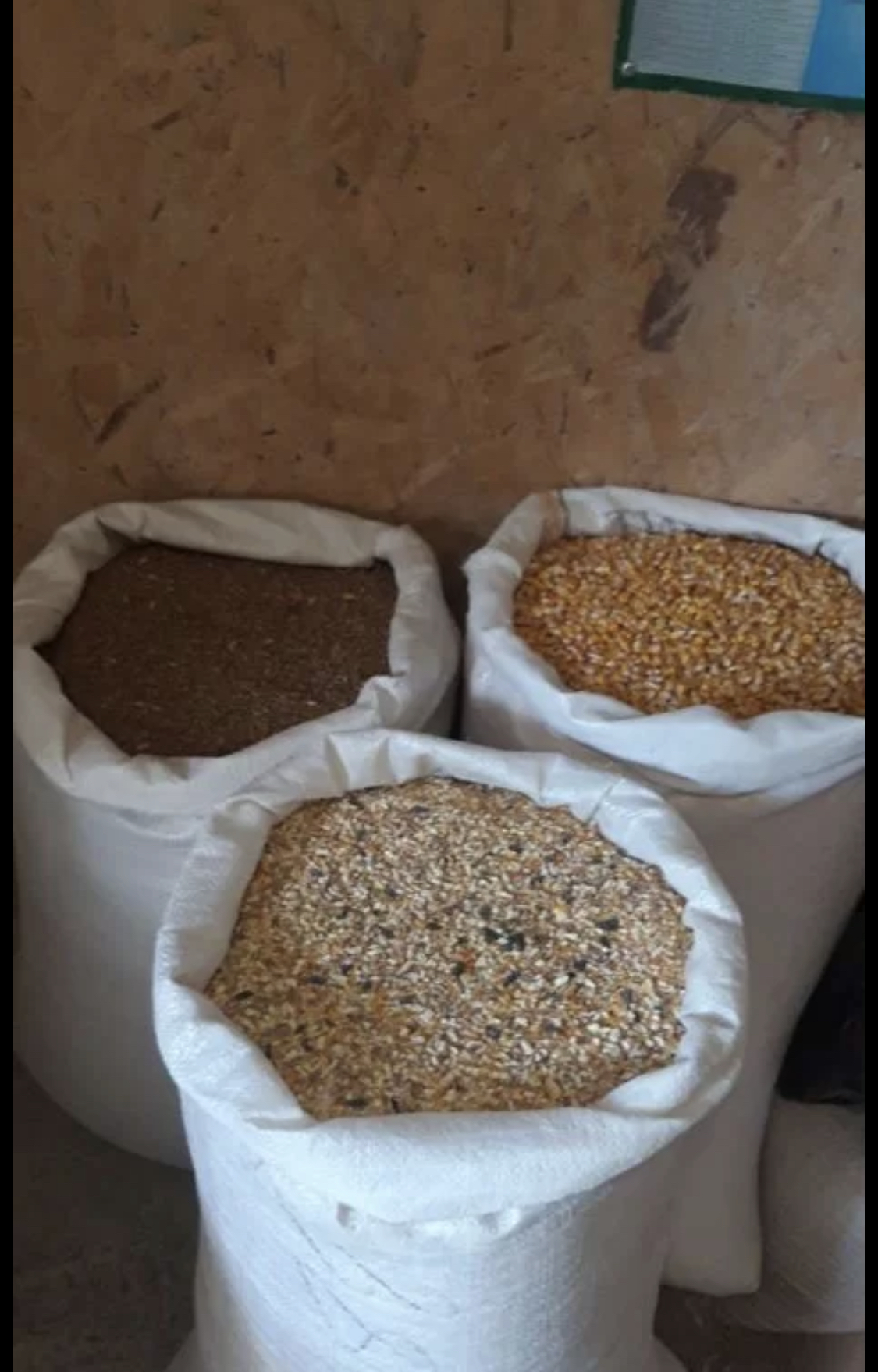 Корма для сельскохозяйственных животных