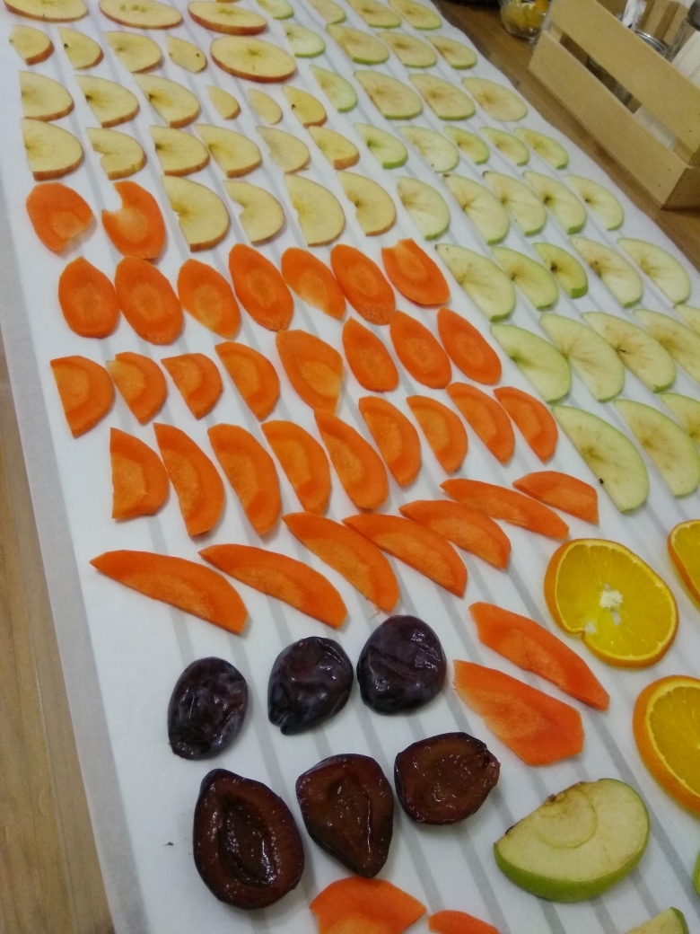 Инфракрасная сушка для овощей грибов и фруктов "Семья"