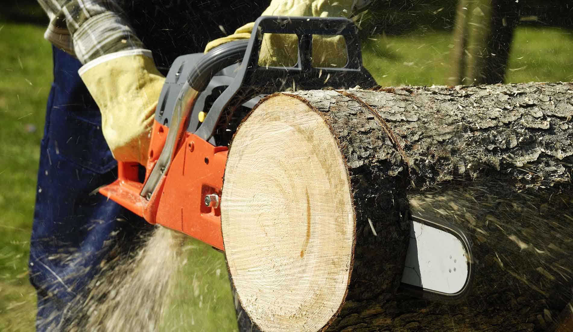 Декоративная распиловка древесины