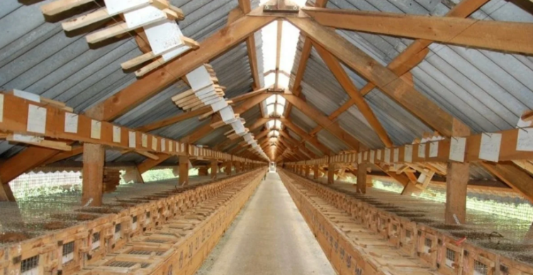 Строительство загонов